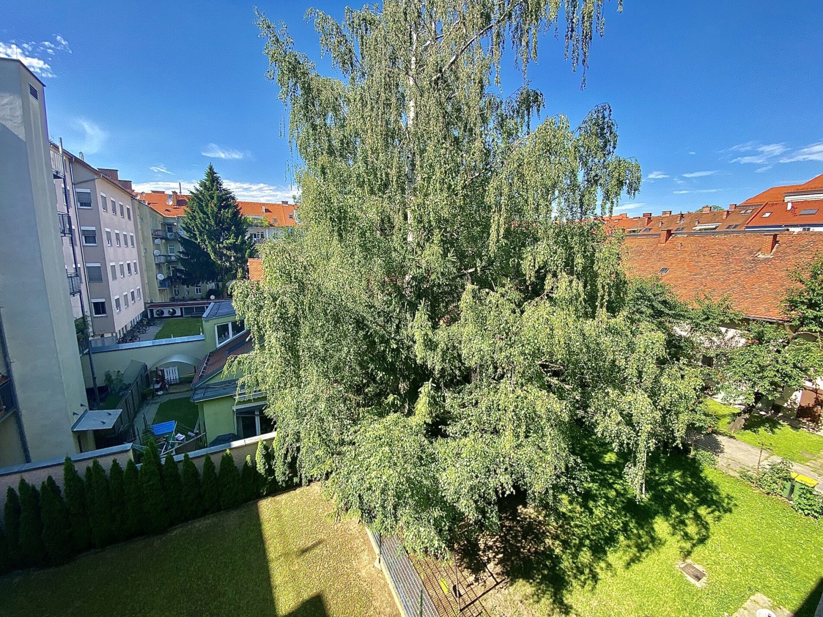 Gemeinschaftsgarten: Schönaugürtel 23, Top 12